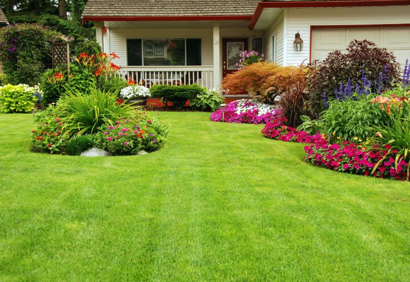 Facts of Landscaping in Belmont MA