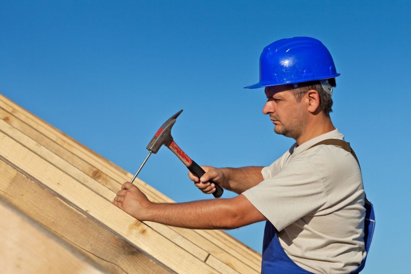 Roof Repair Contractor in Savannah, GA: Why Professional Help Is Essential For Your Home?