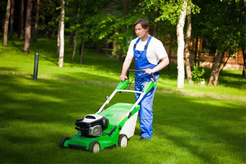 Use a Professional Providing Weed Control in Spokane for Your Yard