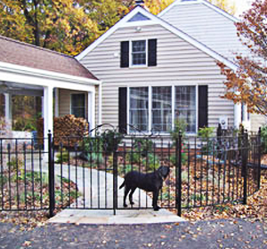 Replace Your Wooden Porch in Baltimore with Durable, Beautiful Iron or Steel