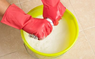 The Growing Need for House Cleaning Services in St. Paul, MN, for Busy Families