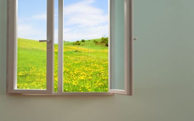 Experience the beauty and benefits of wood windows in San Francisco, CA